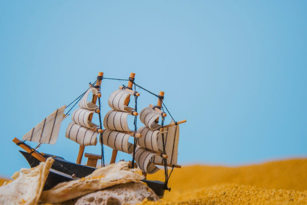 O Descobridor dos sete mares: Tim Maia – História da música